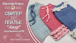 МК свитер и платье "Ажур", 2 в 1, для собак и кошек, sweater and dress