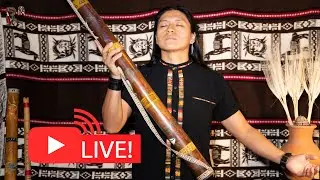 Live Andean Winds to Relax