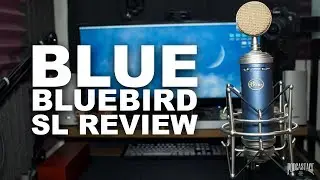 Blue Bluebird SL Condenser Mic Review / Test