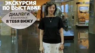 Экскурсия по выставке 