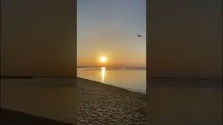 Быть Светом - Парамаханса Йогананда