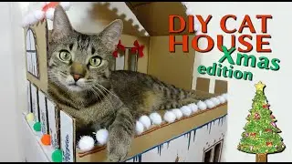 DIY Cardboard Cat House: Christmas edition