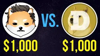 $1,000 Dogelon Mars vs. $1,000 Dogecoin – Who Wins? | ELON or DOGE?