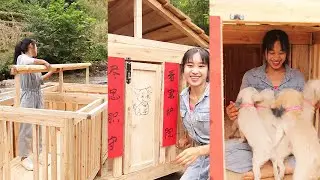 The village girl gives the dogs a home and makes an all-wood kennel