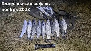 Генеральская кефаль ноябрь 2023 подводная охота 2023 охота на лобана, охота на кефаль, ночная охота