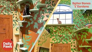 ZenByCat's House of Nekko Is The Ultimate Cat Sanctuary | Better Bones & Gardens | Daily Paws