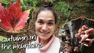 🍂 Autumn in the Mountains 🍄 Camping, Lake Hike & Wildlife!