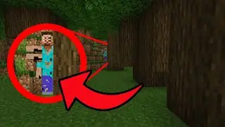 Minecraft CREEPYPASTA: That Thing