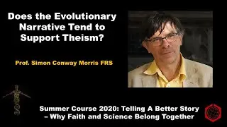 Does the Evolutionary Narrative Tend to Support Theism?