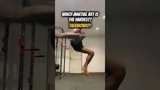 Which martial art is hardest?