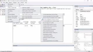 Data management: How to convert a string variable to a numeric variable