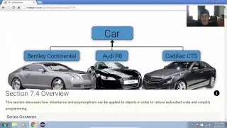 Inheritance & Polymorphism in Java (7.4)