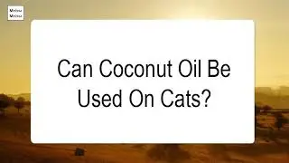 Can Coconut Oil Be Used On Cats