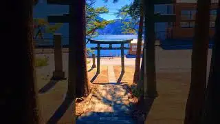 【Japan】 The tori gate and the lake seen from the stairs were very beautiful