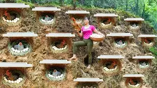 Building Many Nest For Hens To Lay Egg - Harvest A Lot Of Chicken Eggs In Hole Go To Market Sell