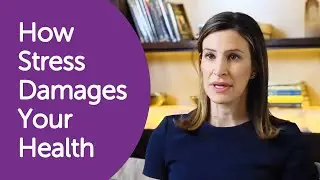 What are the effects of stress on the body? - Dr Sheri Jacobson
