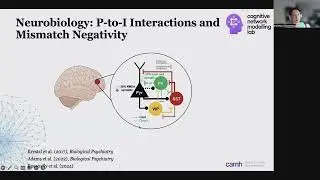 OHBM 2024 | Educational Course | Connectome-based models of wholebrain dynamics | Part 8