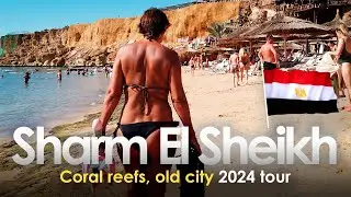 Best places in Sharm el Sheikh, Egypt. Sharm el-Sheikh walking tour 2024: coral reefs, old city