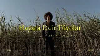 Hayatı Nasıl Yaşamalıyız ve Hayata Dair Tüyolar | Siyah Dalga