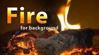 FIRE SOUNDS. Campfire meditation in nature. Bonfire music