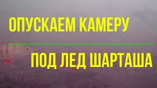 Отпускаем камеру под лед озера Шарташ.