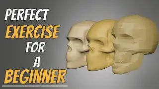 Perfect Exercise If your a Beginner in Digital Sculpting