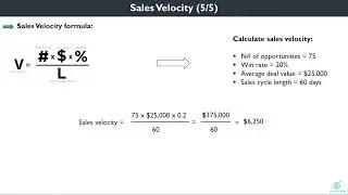 B2B Sales KPIs