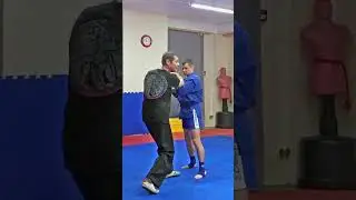 Серия колющих и рубящих ударов руками: в двойке, тройке... #shorts #shortvideo #sports #martialarts