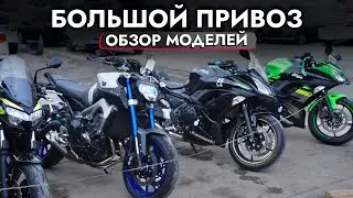 Обзор КОНТЕЙНЕРА МОТОЦИКЛОВ из Японии❗ KAWASAKI | YAMAHA | SUZUKI и другие модели в НАЛИЧИИ