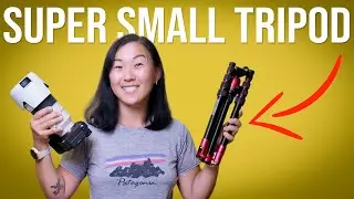 BEST Small Tripod for Travel? Manfrotto Element Traveller Tripod Review