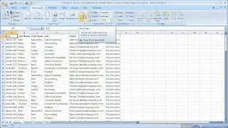 Printing in Excel 7 - Repeat Row & Column Titles on Every Printed Page from Excel - Page Setup