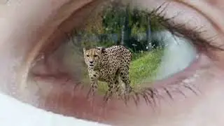 Eye zoom transition, zoom into eye effect in capcut, tiktok android and iphone video  editing