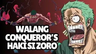 Walang Conquerors Haki si Zoro | Egghead Vivre Card Review