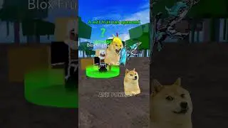 Doge is helped by admin #roblox #doge #bloxfrutis