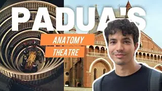 I Went to the World's First Anatomy Theatre