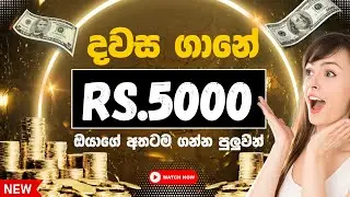 🎁😍 දවස ගානේ රු.5000ක් ගන්න පුලවන් අවස්ථාවක් | e money sinhala | online earn 2024 money earn | 121th