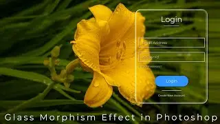 Glass Morphism Effect in Adobe Photoshop - Transparent Blur Glass Effect in Photoshop