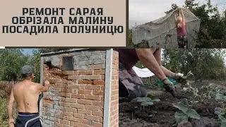 #81  Ремонт сараю /Малина прийшлось обрізати/ Посадила саджанці ранньої полуниці/Познімала халабуди