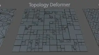 TopoFormer 1.0 - Topology Types