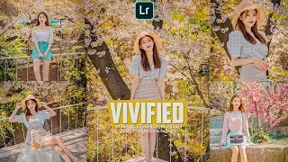 Vivified Lightroom preset - free lightroom preset dng & Xmp - Vibrant Preset