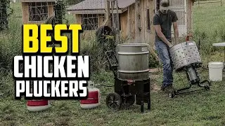 🔶Top 10 Best Chicken Pluckers in 2023 Reviews