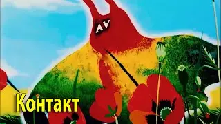 Контакт. 1978 г. Мультфильм. (1080p)