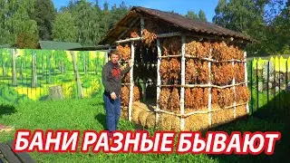 Русские БОГАТЫРСКИЕ бани. Ароматный СЕННИК, холодная КУПЕЛЬ, ЧАН на ДРОВАХ.