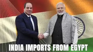 What India imports from Egypt | $2.51 B Trade !