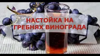 НАСТОЙКА НА ГРЕБНЯХ ВИНОГРАДА