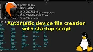 Automatic device file creation with a startup script