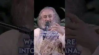 Drinking and Partying? | Gurudev