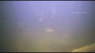 Эффективность разнесенной LED подсветки в плохих условиях под водой