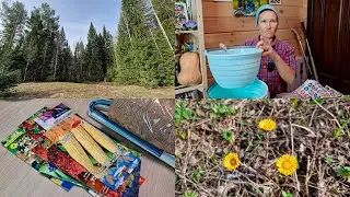 ВЕСНА В ДЕРЕВНЕ🌸 Обзор покупок Светофор, семена 27 апреля-30 апреля 2024