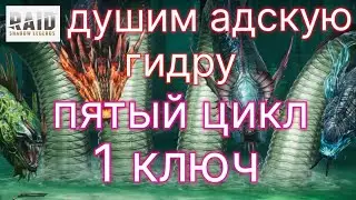 АДСКАЯ ГИДРА 1 КЛЮЧ , ЦИКЛ 5 Тактика Фарма Гидры Моей Пачкой